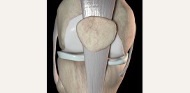 Как избавиться от болей в суставах и сохранить их молодость – самые важные упражнения