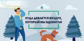 Тело человека. Куда девается воздух, который мы вдохнули?