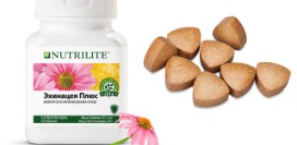 Эхинацея – препарат для укрепления иммунитета