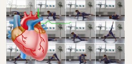 Как запустить процесс омоложения сердца: упражнения для укрепления сердечно-сосудистой системы