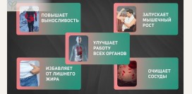 Рост мышц после 40 – это реально: комплекс статодинамических упражнений