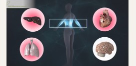 Как спасти организм от паразитов: солёная вода, упражнение для живота и еда, убивающая глистов