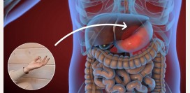 Оздоровительная йога для пальцев: 7 самых действенных мудр