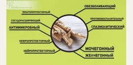 Корень аира: исцеляющий тростник, растущий на болотах