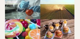 Самая опасная еда 21 века