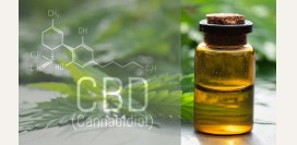 Каннабидиол – экстракт конопли от стресса, тревожности, заболеваний сердца и суставов: польза и эффекты, почему он набирает популярность