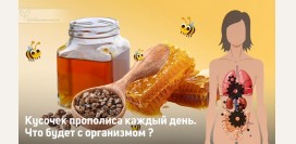 Кусочек прополиса каждый день – что будет с организмом