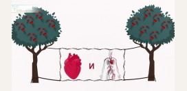 Боярышник – ягода для сердца, крови, кишечника и не только: польза, рецепты, интересные факты