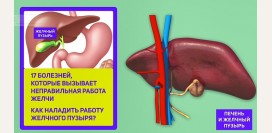 17 болезней, которые вызывает неправильная работа желчи. Как наладить работу желчного пузыря?
