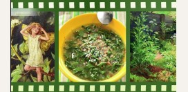 Сныть – злостный сорняк, или самый полезный овощ, который мы забыли