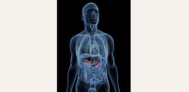 Болезнь Аддисона (недостаточность коры надпочечников) - причины, симптомы, современная диагностика и эффективное лечение