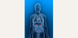 Болезнь Иценко Кушинга (гиперкортицизм) - причины, симптомы, современная диагностика и лечение заболевания