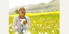 Аллергия - причины, симптомы, виды аллергии, первая помощь при аллергии, диагностика причины аллергии, лечение, анафилактический шок