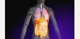 Муковисцидоз - причины, симптомы, диагностика и эффективное лечение