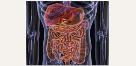 Синдром раздраженного кишечника - причины, симптомы, диагностика и эффективное лечение