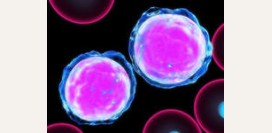 Острый лимфолейкоз