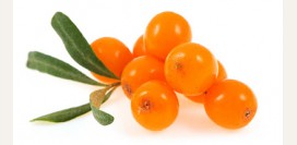 Свечи с облепихой при геморрое - инструкция, свойства, показания