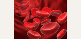 В12 дефицитная анемия – причины, симптомы, диагностика и лечение