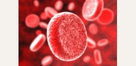 Железодефицитная анемия – причины, симптомы, диагностика и лечение