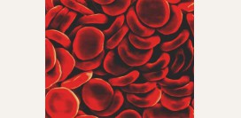 Эритроцитоз – причины первичного и вторичного эритроцитоза