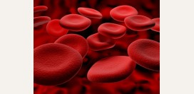 Талассемия – диагностика, причины, симптомы и лечение