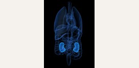 Хронический гломерулонефрит - формы, симптомы, диагностика и лечение