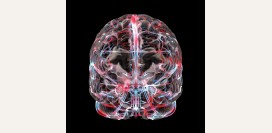 Дисциркуляторная энцефалопатия - степени энцефалопатии, признаки, диагностика и лечение