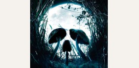 Отравление ядовитыми грибами. Симптомы и признаки. Первая помощь при отравлении, что делать? Профилактика отравлений грибами.