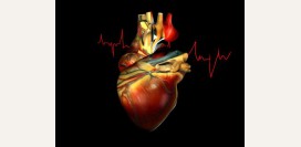 Миокардит.  Причины, симптомы и признаки, диагностика и лечение болезни