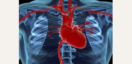 Пороки сердца. Пороки митрального клапана.