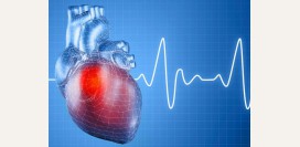 Мерцательная аритмия. Причины, симптомы, диагностика и лечение заболевания.