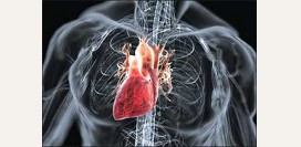 Аортальный клапан и его пороки