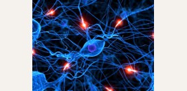 Диабетическая нейропатия. Причины, симптомы, диагностика и лечение нейропатии