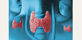 Тиреоидит. Причины, симптомы, диагностика и лечение болезни