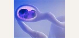 Внематочная беременность. Причины, симптомы, диагностика и лечение