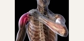 Бурсит - причины, симптомы и признаки, диагностика и лечение патологии