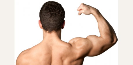 Как растут мышцы - мышечная гипертрофия
