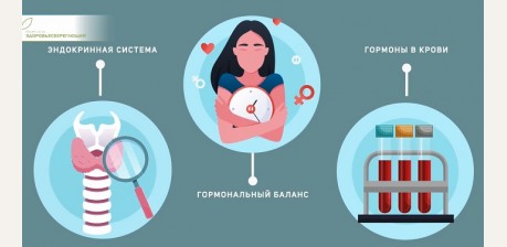 Факты, о которых молчат Эндокринологи: как гормоны управляют нами