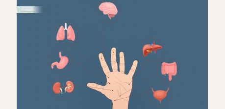 Почему массаж пальцев полезен для сердца, сна и нервной системы