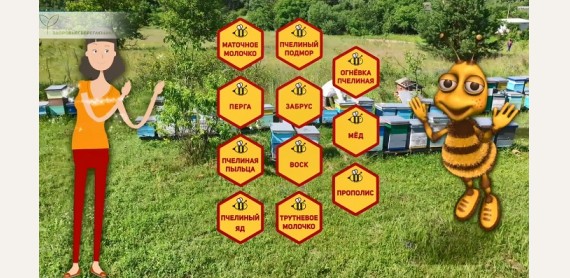 Польза продуктов пчеловодства: огнёвка пчелиная, маточное молочко, прополис, пыльца, перга, пчелиный подмор и пчелиный яд