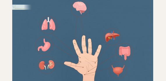 Почему массаж пальцев полезен для сердца, сна и нервной системы