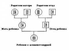 Фку генетика что это. Смотреть фото Фку генетика что это. Смотреть картинку Фку генетика что это. Картинка про Фку генетика что это. Фото Фку генетика что это
