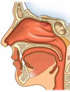Эпилепсия при переломе носа