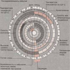 в какой период цикла нужно делать маммографию. Смотреть фото в какой период цикла нужно делать маммографию. Смотреть картинку в какой период цикла нужно делать маммографию. Картинка про в какой период цикла нужно делать маммографию. Фото в какой период цикла нужно делать маммографию