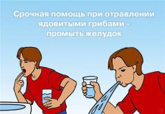 Отрыжка при отравлении грибами