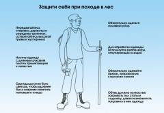 Что делать если укусил клещ человека с прививкой