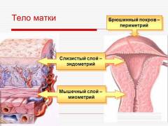 Кровотечение маточное температура понос