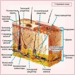 Изображение - Рожистое воспаление голеностопного сустава sm_761272001410449152