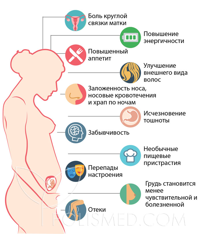 Можно Заниматься Сексом В Первый Триместр