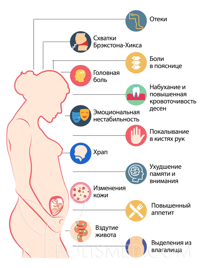 Болит низ поясницы при беременности. 2 Триместр болит поясница. Боль в спине при беременности во втором триместре. Боль в пояснице у беременных во втором триместре. Боль в животе во втором триместре беременности.